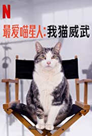 ดูสารคดี Kitty Love: An Homage to Cats (2021) ความรักแมวๆ แด่น้องเหมียว