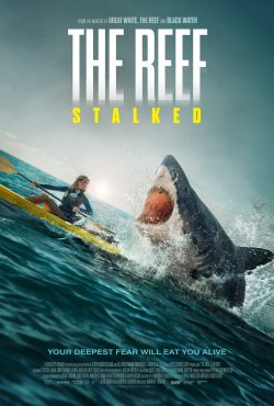 ดูหนัง The Reef: Stalked (2022) มันย่องตามมางาบ HD เต็มเรื่อง