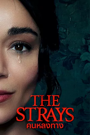 ดูหนัง The Strays (2023) คนหลงทาง | Netflix เต็มเรื่อง