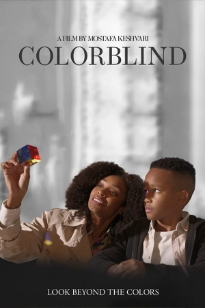 ดูหนังฝรั่ง Colorblind (2023) เว็บดูหนังออนไลน์ฟรี 4K