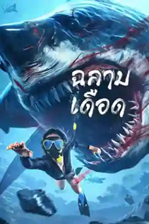 Shark Evil (2023) ฉลามเดือด เว็บดูหนังออนไลน์ฟรี 4K
